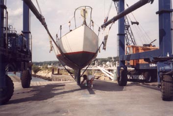 In the slings, preparing to launch