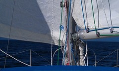 reefing_lines_and_halyards-_wing_n_wing.jpg