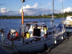 P5040011.jpg