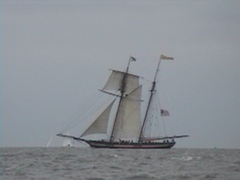 DSC00005.jpg
