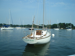 LoughSwillymoor06.jpg