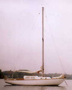 Lough_Swilly_2001_moor.jpg